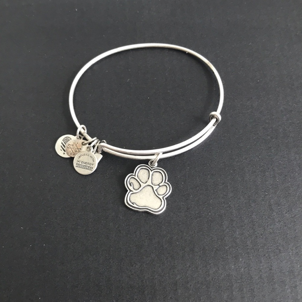 Silver Alex and Ani dog paw bracelet